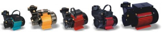 Regenerative Monoblock Pumps