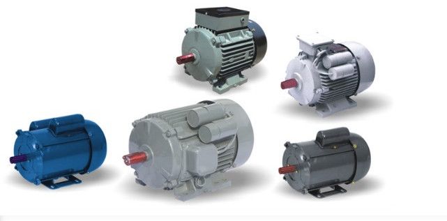 Squirrel Cage Induction Motors (Single Phase)