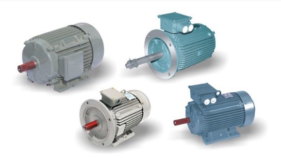 Squirrel Cage Induction Motors(Three Phase)