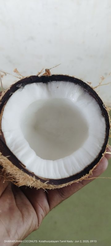 coconut