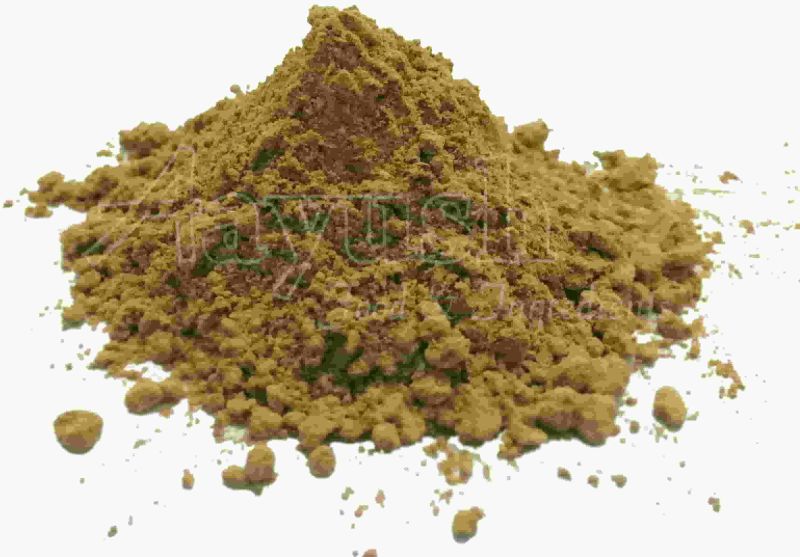 Coriander Leaves Powder