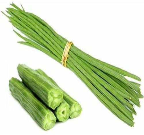 Fresh Drumstick, Color : Green, Packaging Type : Gunny Bag