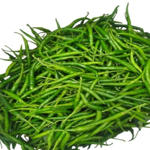 fresh green chilli