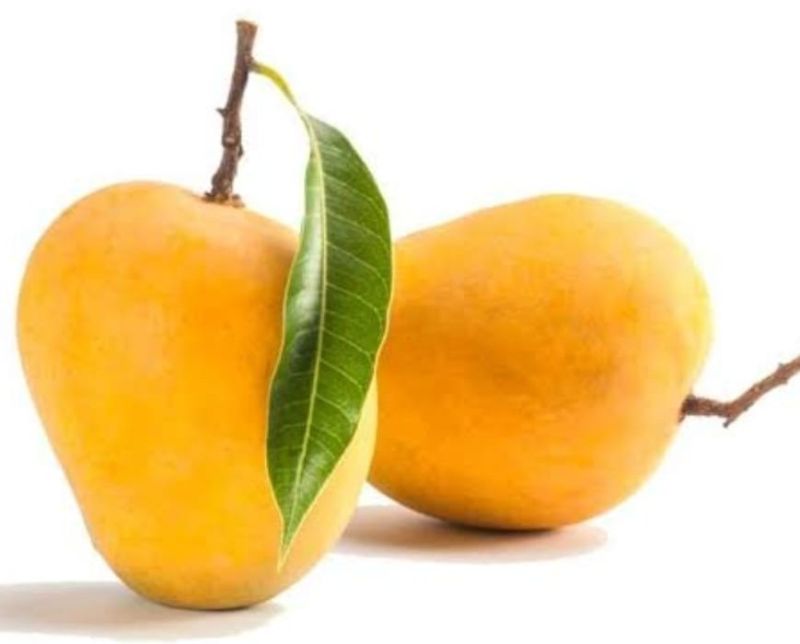 Fresh Mango