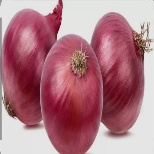 Fresh Red Onion, Packaging Size : 25Kg, Packaging Type : Jute Bag