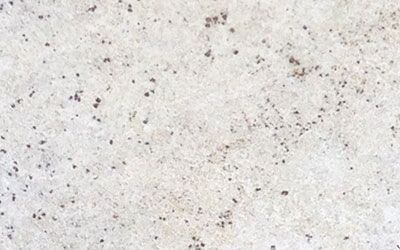Colonia White Granite