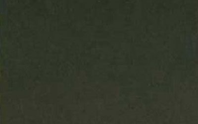 Kota Blue Polished Limestone