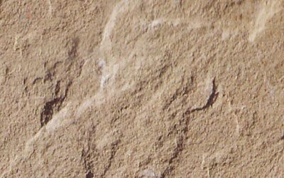 Natural Beige Sandstone