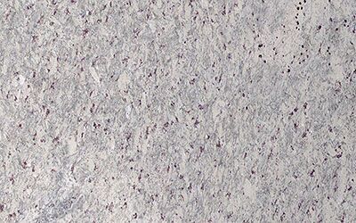 New Kashmir White Granite