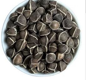 moringa seeds