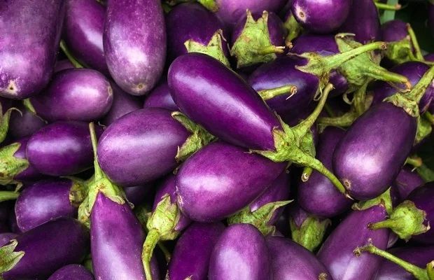 Fresh Eggplant