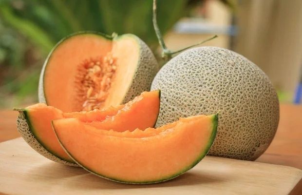 Fresh Musk Melon
