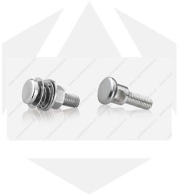 Customized Head Shape Screws
