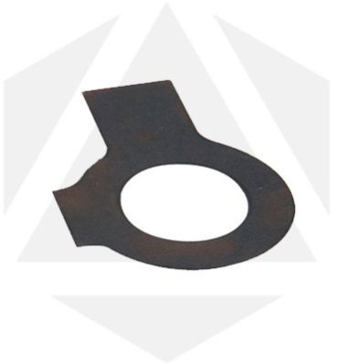 Double Tab Washers