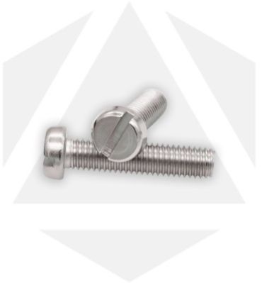 Stainless Steel Slotted Cheese Head Screw
