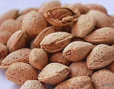 Kashmiri Almond