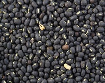 Urad Whole Black