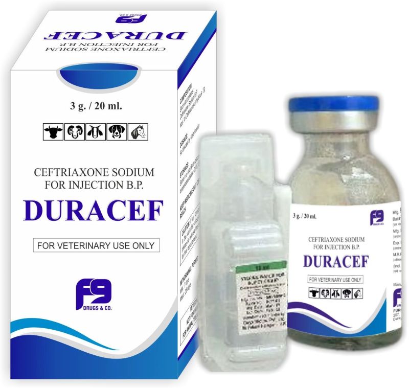 Duracef Veterinary Injections