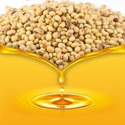 soyabean oil