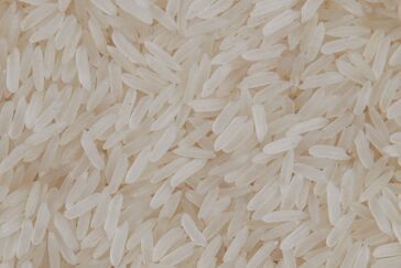 PR11 Parboiled Non Basmati Rice, Purity : 95.00%