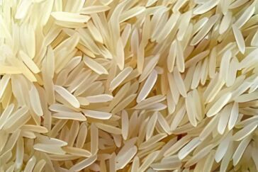 Pusa Parboiled Basmati Rice, Purity : 95.00%, Moisture : 12.5% Max