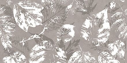 Parna Ash – A & B Bathroom Tiles