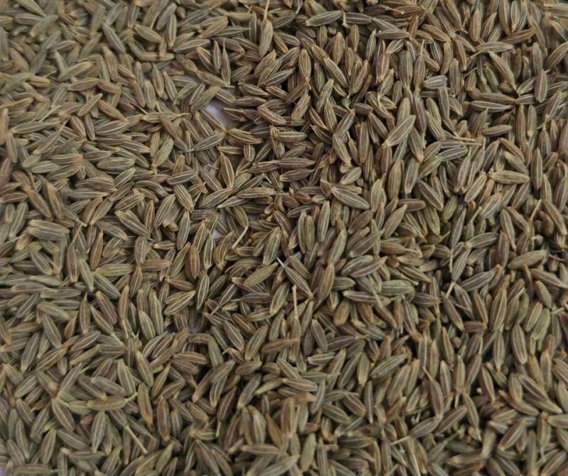 cumin seeds