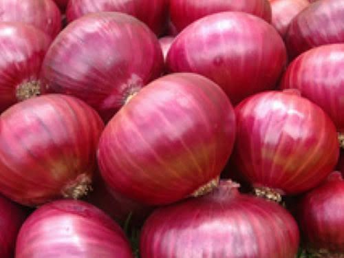 Natural Fresh Red Onion, Packaging Size : 5Kg, 10Kg, 25Kg, 50Kg