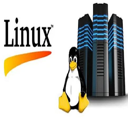 Linux Dedicated Server Services