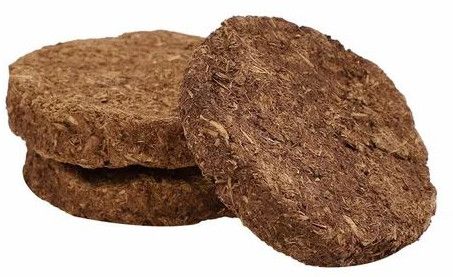cow dung cakes