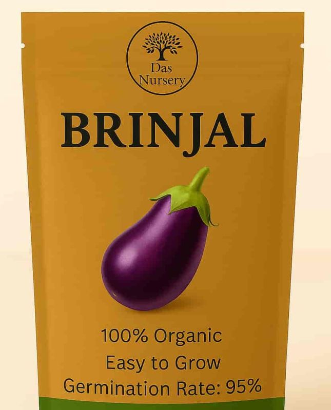 Organic Brinjal Seeds