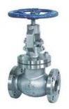 Audco Globe Valve