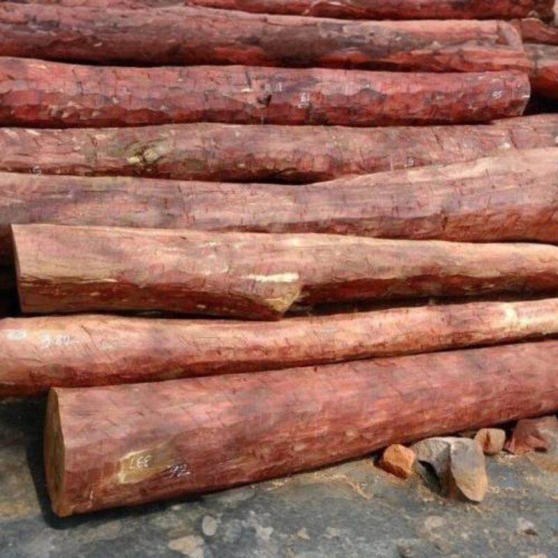 red sandalwood