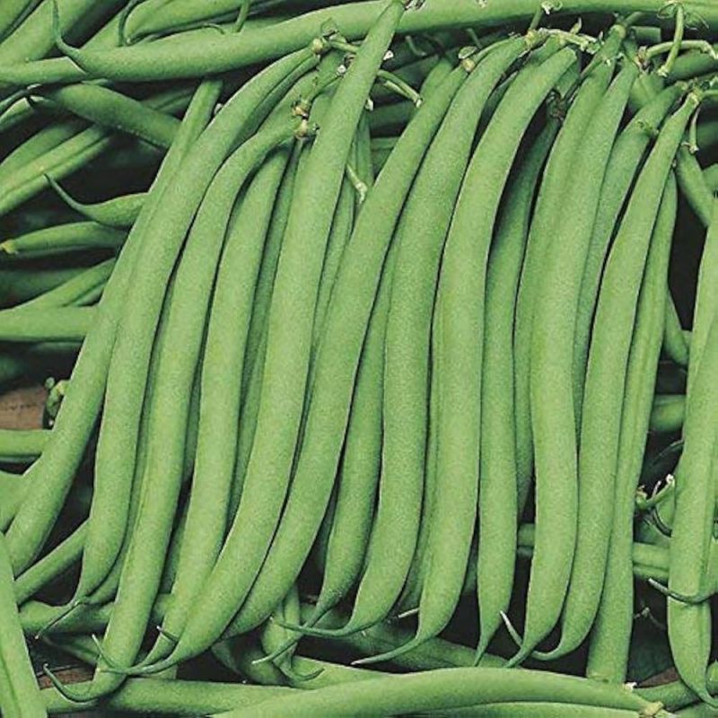 Green Beans