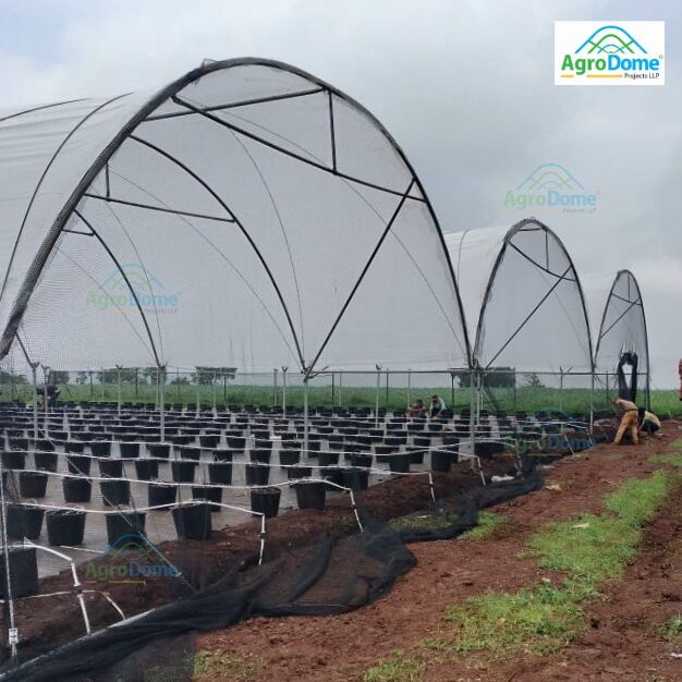 High Tunnel Polyhouse