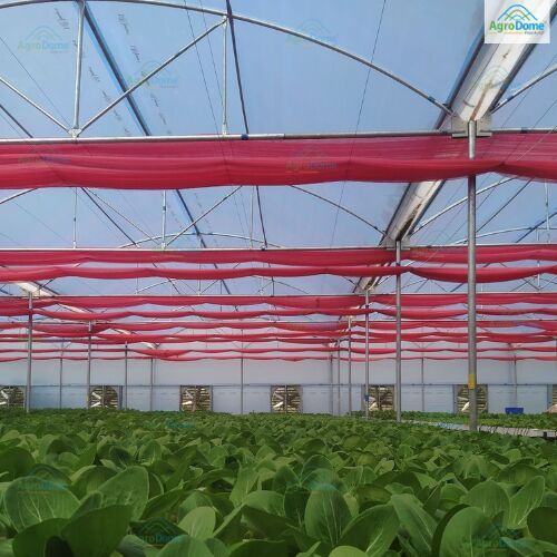 Polyethylene Plastic Poly House for Vertical Farming