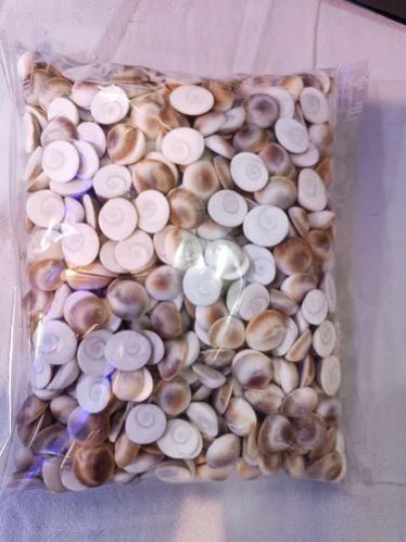 Round Gomti Chakra Stone