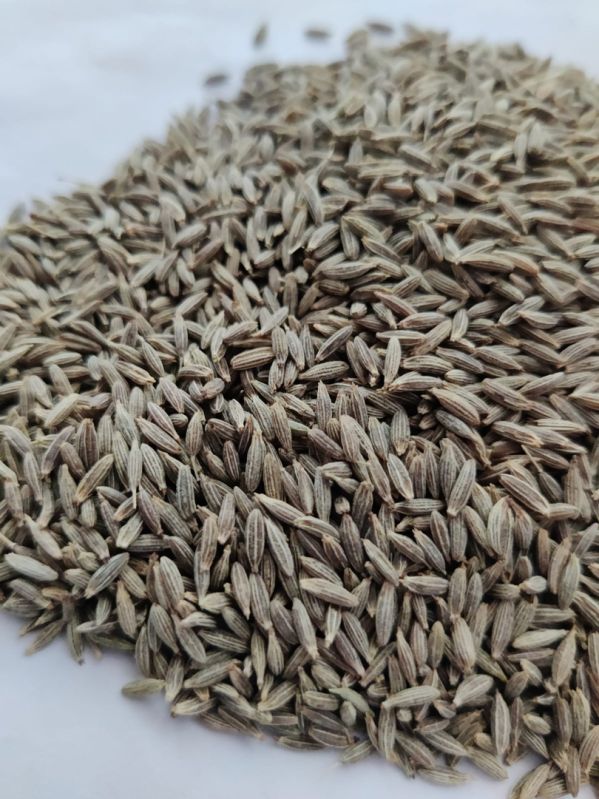Cumin