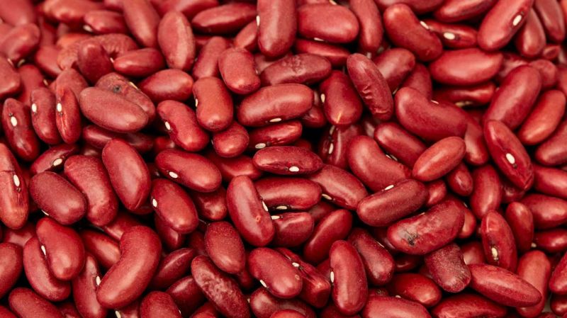 Red Kidney Bean