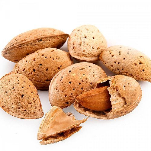 Shelled Almonds, Color : Brown, Form : Nuts