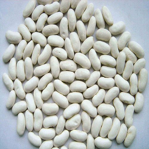 white kidney beans