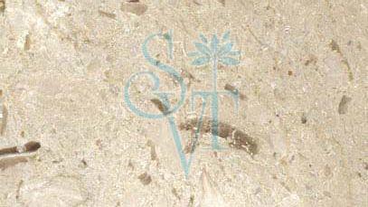 Polished Imported Perlato Sicilia Granite Slab, Color : Creamy