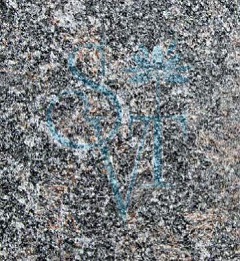 Imported Tan Brown Brushed Granite Slab Standard for Construction