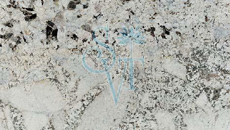 Polished Indian Alaska White Granite Slab Standard for Construction