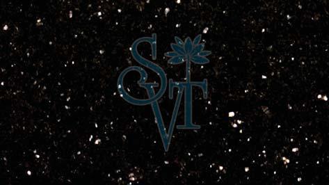 Polished Indian Bengal Black Granite Slab Standard for Construction