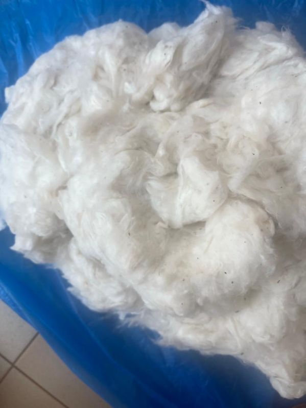 Cotton Fiber