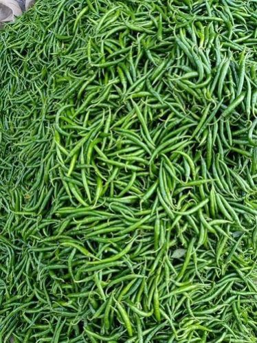 A Grade Fresh Green Chilli