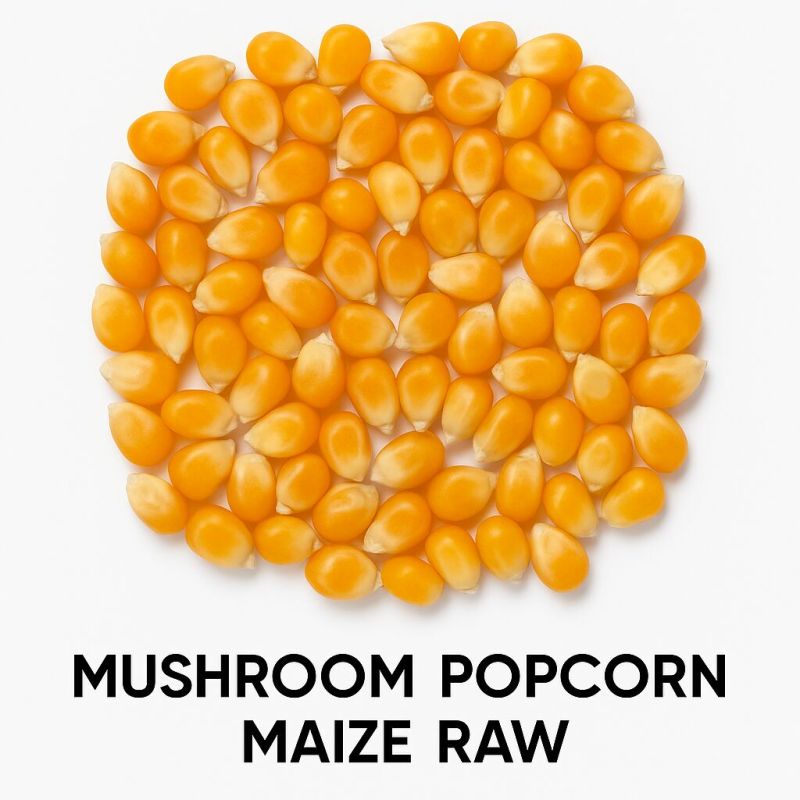 Corn Kernels for Popcorn