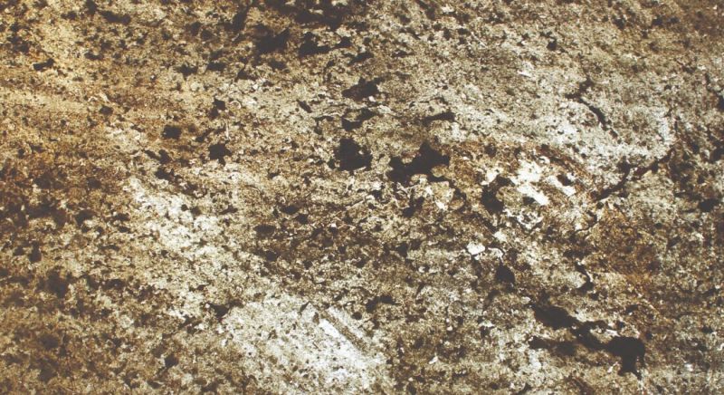 Gold Green Stone Veneer