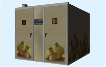Stainless Steel 30,240 Eggs Capacity Incubator